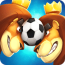 294754:COM-WWW:294754:COM