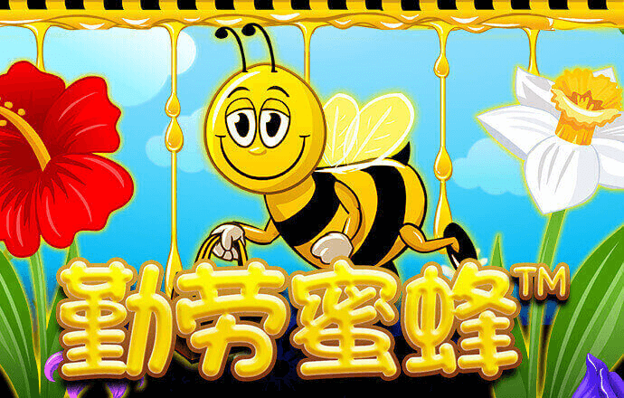 221BLR:COM-WWW:221BLR:COM